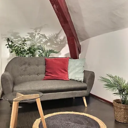 Wonderhost, Au Calme En Hypercentre Avec Parking Apartment Pau Exterior photo
